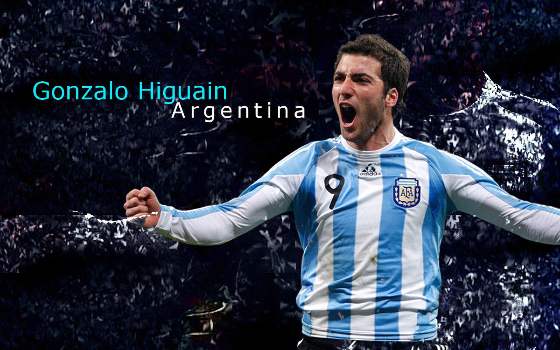 开云中国大陆-自由泳前四澳洲独占其三，澳大利亚200米自由泳冠军